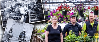 En blomstrande idé som blev verklighet • Nu fyller anrika trädgården 100 år • Här finns 80 000 växter