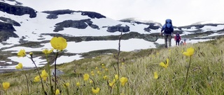 Unga flyktingar ska integreras med naturen