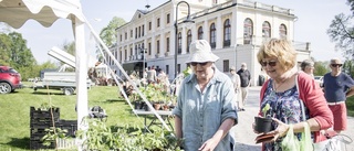 Blomsterfest lockade många entusiaster