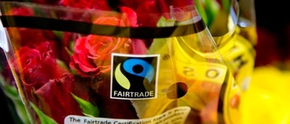 Fairtrade bromsar utvecklingen