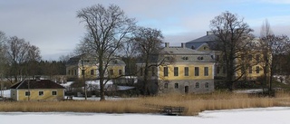 Fogelviks slott till salu för 35 miljoner