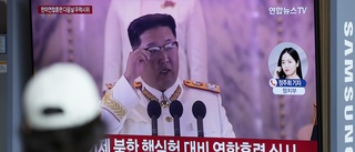 Nordkorea har avfyrat två robotar