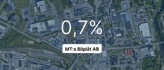 MT:s Bilplåt AB på rätt sida strecket