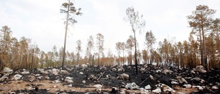 Nyköpings kommun får två miljoner efter storbranden i Ljusdal