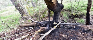 Brand vid Hjortensbergsbadet kan vara anlagd