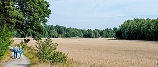 Vackra Oxelösunds skog och naturmarker