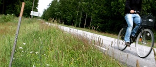 Ny cykelbana under hösten längs Baravägen