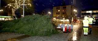 Stormen "Helga" fällde julgranen på torget