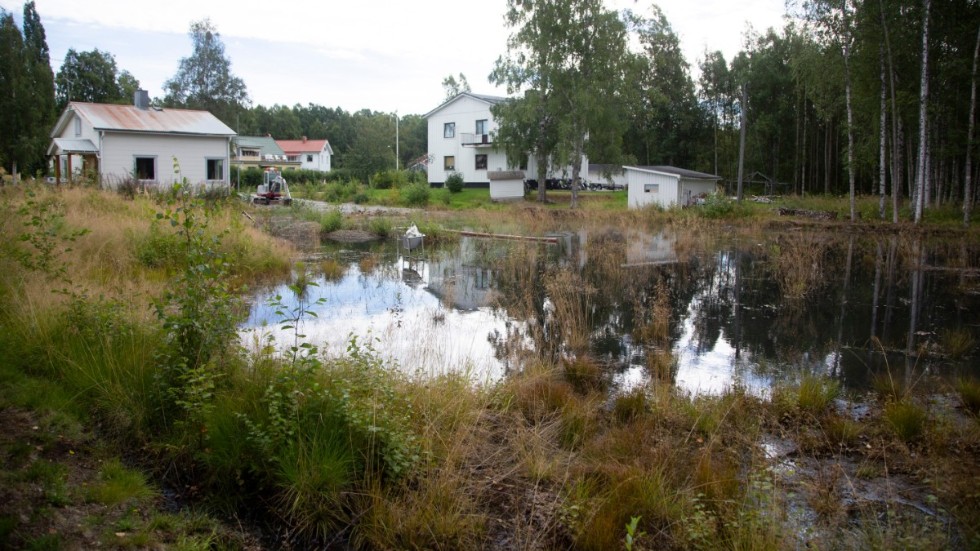 Området nedanför husen på Strömsborg är väldigt vattensjukt.