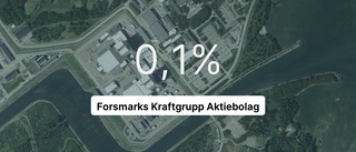 Efter röda tal 4 år i rad - i fjol vände det för Forsmarks Kraftgrupp Aktiebolag