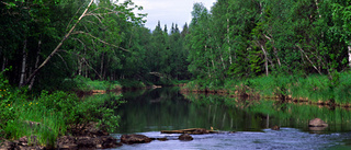 Fiskevårdsdag i Jänkisjärvi