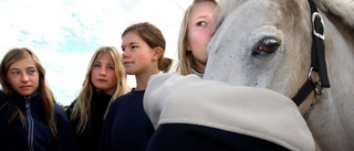 Hästtjejerna har tröttnat på alla inbrott