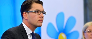 Åkesson har fler frågor att svara på