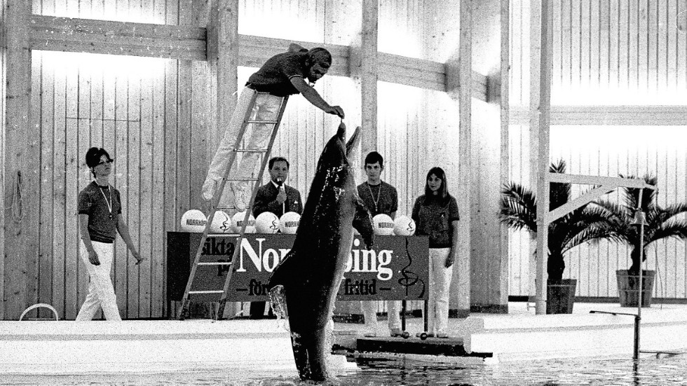 På bara ett par veckor hade Hans Jürgen Klinkert och hans medhjälpare fått delfinerna att klara ett imponerande program, lagom till invigningen den 4 juli 1969.