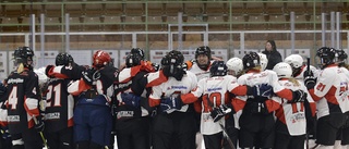 Genom mammornas engagemang fick Mjölby Hockey sitt första damlag