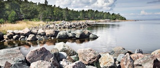 Kraftiga vindarna slår ut strömmen