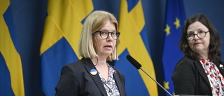 Svensk sajt skapas för ukrainska forskare