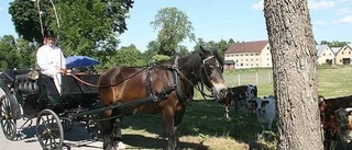 Tryckerimuseum och smedverktyg nya attraktioner på Brukets dag