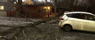 Blåsten ställer till det i Uppsala