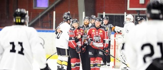 Ny ekonomisk succé för Boden Hockey