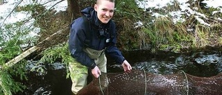 Mer fisk ska lockas till bäcken