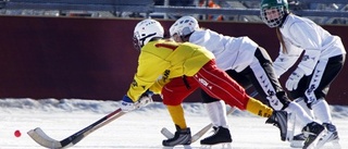 Stockholm/Uppland föll i finalen