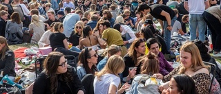 Studentkåren vill fira valborg med jättepicknick på allmän plats