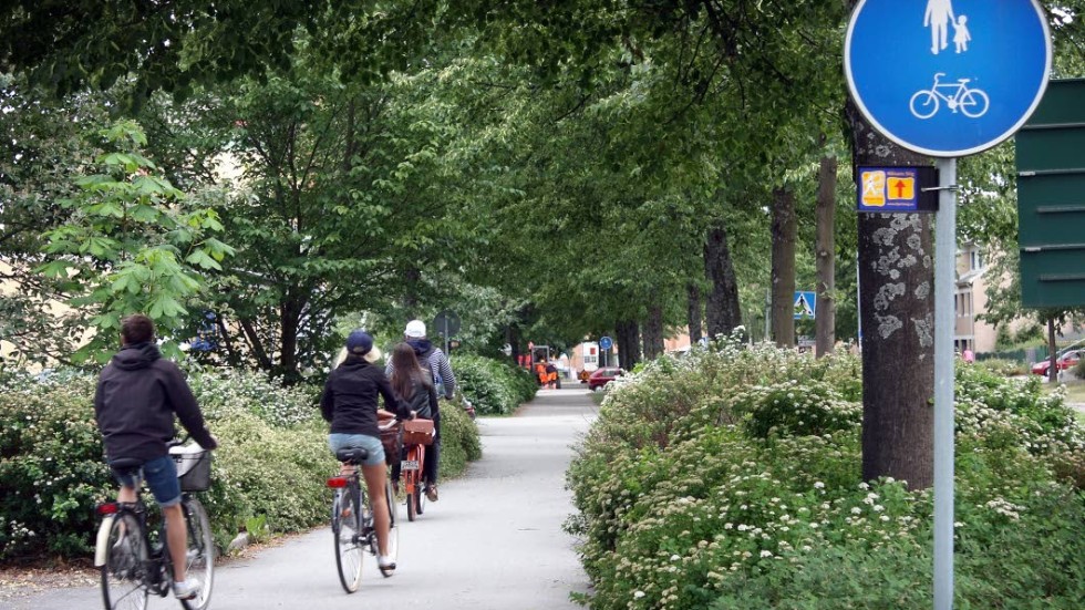 Kommunens filmning av gator och cykelbanor ifrågasätts av en person som inte vill bli filmad och som undrar om dataskyddsförordningen har följts.