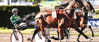 Tuff resa för Selmer I.H i finska storloppet 