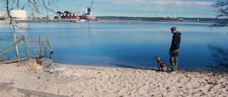 Vi vill inte att våra hundar ska drunkna i rastgården