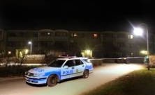 32-åringen dömdes till tio års fängelse