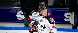 Boden Hockey värvar – från allsvenskan