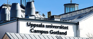 Över 5000 personer har sökt till Campus Gotland