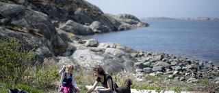 Tierp i topp i antalet anmälda till kusträddardag