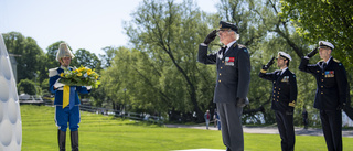 Jasplan och kunglig ceremoni på veterandagen