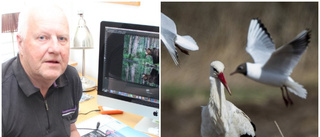 Ovanlig stork siktad i Norduppland