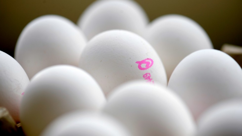 Ägg kan bli dyrare i matbutiken – bland annat till följd av dyrare konstgödsel. Arkivbild.