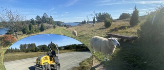 Nu ska det bli lättare att parkera bilen för besök i naturreservat