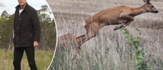 Vill se stora avskjutningar av öns rådjur