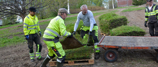 Gräs-ligt fin ängsmatta på Kvarnängen