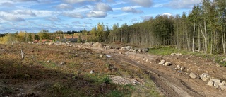 Stort riv efter gavelläge vid säljstarten av nytt bostadsområde i Vimmerby • Så många är bokade