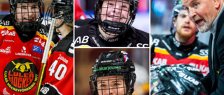 ”Utan henne hade Luleå Hockey knappast varit serieledare” • ”Det går inte annat än att le” • ”Frågan är om ’Bulan’ kan hålla alla nöjda”