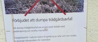 Har man ingen planering i kommunen