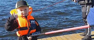 Heldag med fiske, bär och öppen eld • Aktiviteter för barnen med kommunala pengar 