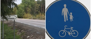 Cykelväg dröjer: "Kan ta upp till fem år"