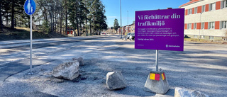 Grusplan blir grönskande park på Vasavägen