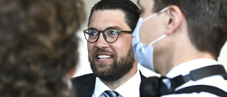 Jimmie Åkesson är nöjd nu – tack vare Vänsterpartiet