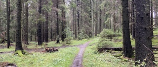 Sörmland får för lite för att sköta våra naturreservat