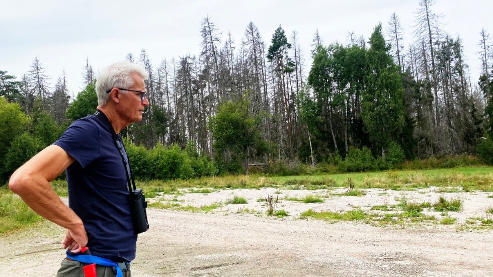 Martin Schroeder har följt utvecklingen i Fiby urskog noga. Nu är det skogens återhämtning som väcker hans intresse.  "Men jag saknar mina gamla fikaställen i skogen", säger han.