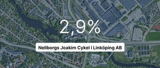 Pilarna pekar nedåt för cykelföretaget i Linköping